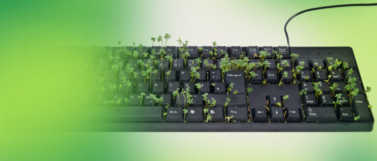 Get your free 5-Point checklist for more efficient growth